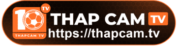 xây dựng đội hình fo4